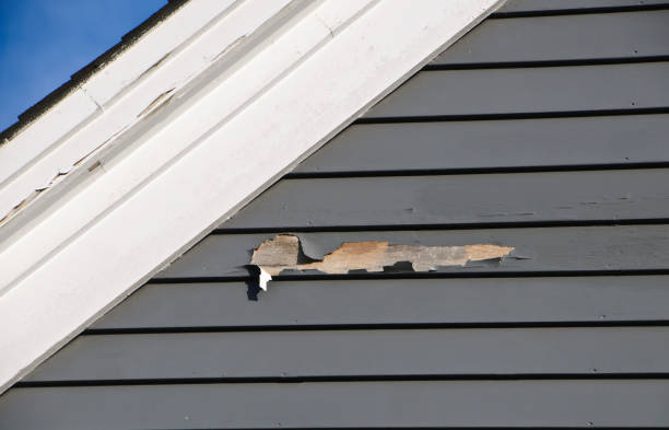 Best Brick Veneer Siding  in Cecilia, LA